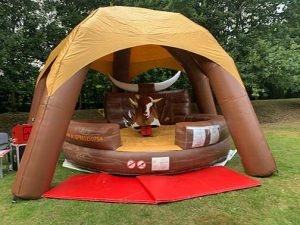 Bucking Bronco/Rodeo Bull Hire Deal Kent